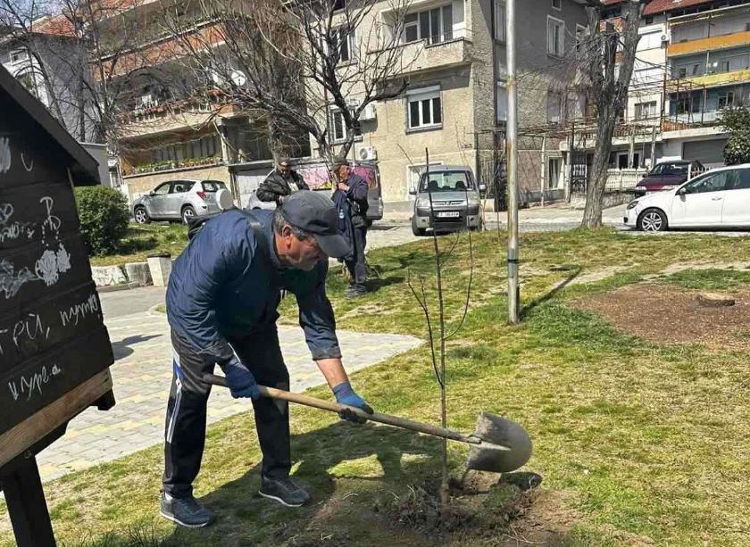 В Сандански става все по-зелено