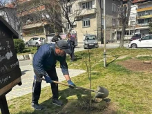 В Сандански става все по-зелено