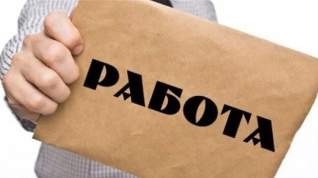 15,5% е безработицата в Златарица, за област Велико Търново процентът е 5,9%