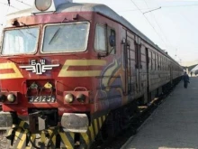 Влакът между гарите Мирково и Столник е спрян заради паднало дърво