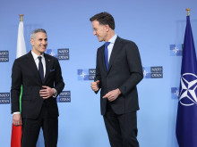 �����: ���������� � ���� � ���-���������� �������� �� ������������ �� ���������
