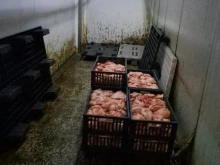 Спряха частично дейността на месокомбинат в Свищов, над 10 тона храна ще бъдат унищожени