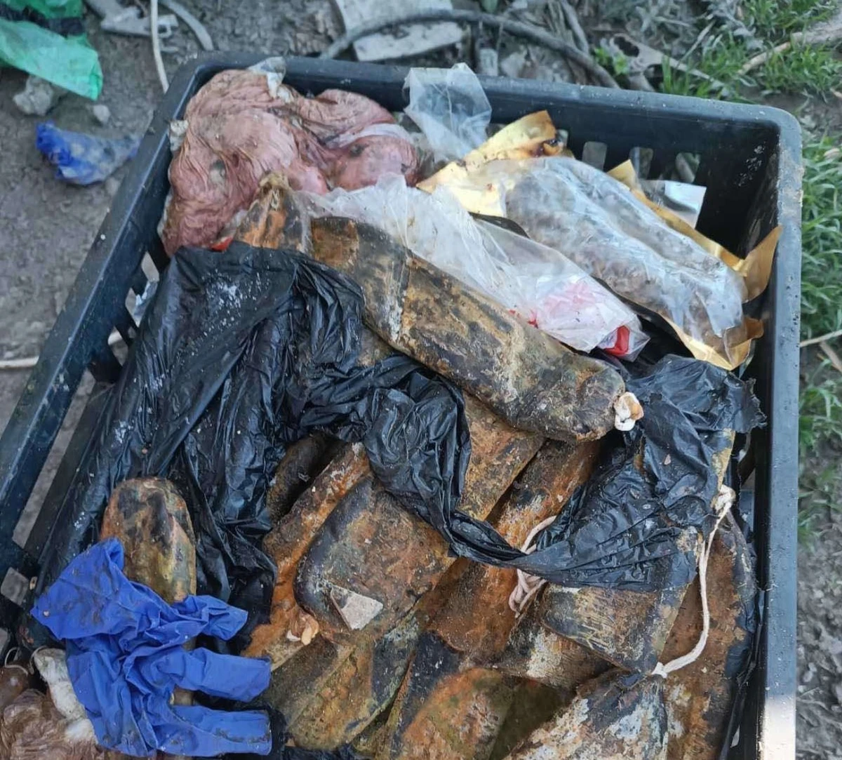 Полицаи от Велико Търново разследват дейността на за която вчера