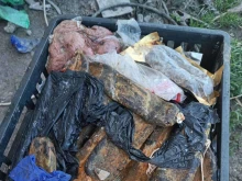 Полицаи от Велико Търново разследват незаконната кланица в Дебелец