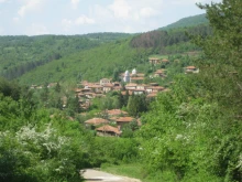 Майката на децата, оставяни без надзор в Беброво: Живи са, здрави са, всичко си имаме
