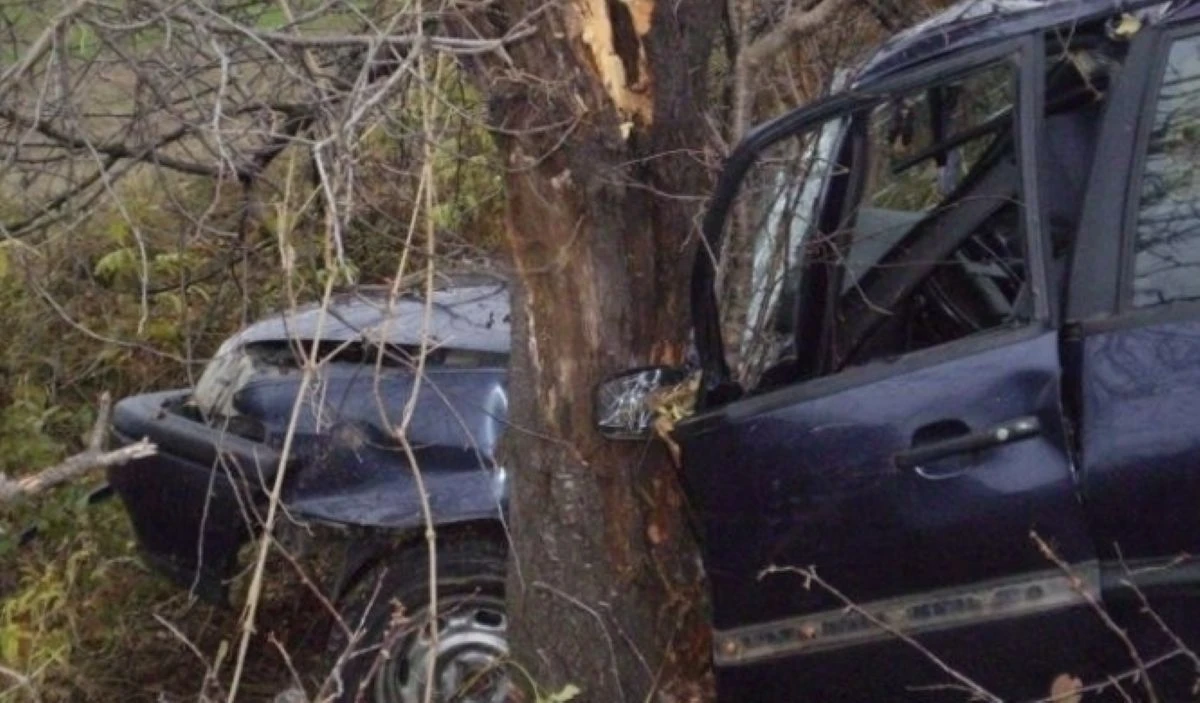 Два месеца след вземането на книжка: 18-годишен причини катастрофа, в която загина дете