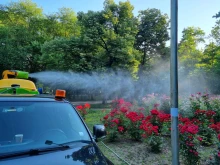 Важно за жителите на Ямбол: Избягвайте парковете в тези дни заради дезакаризация