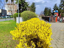 Културен петък в Кюстендил събира памет, изкуство и театър