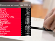 Над 10% избирателна активност в област Бургас, най-висока е тя в Приморско и Царево