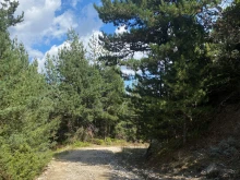 На поход до хижа "Божур" канят великотърновци, започва пролетният дял на "Движи се и победи"