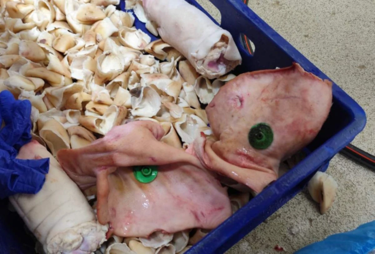 Над 3 5 тона хранителни продукти от животински произход ще бъдат