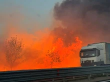 Пожар избухна на магистрала "Тракия"