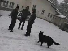 Откриха гилза край "Петрохан", хижата е блокирана