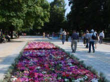 Глобиха ГЕРБ за нерегламентирани плакати в парк "Белите брези"