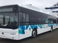 Столична община пуска нови автобусни линии за селата край София