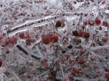 Meteo Balkans: Минус 3 градуса на 2 май, край с черешите