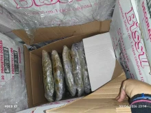 Задържаха български шофьор с 500 кг канабис в Гърция