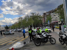 Пиле няма да може да прехвръкне в Пловдив