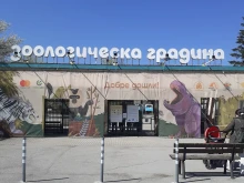 Бой пред Софийския зоопарк, жена пазила паркомясто с тялото си