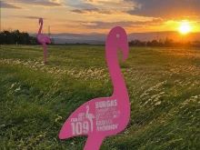 109 ������ �������� � ������ �� Giro d�Italia 2025