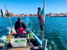 ���� � ����� �������� � ����� �� ��������� �������