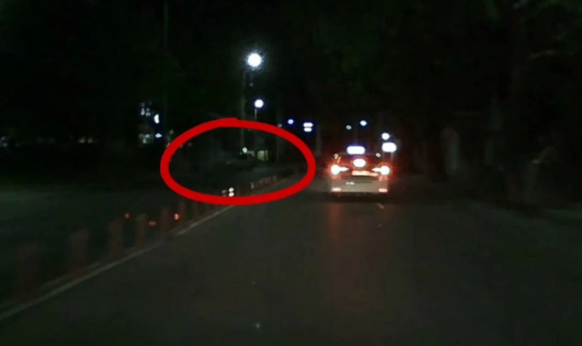 Ексклузивно видео: Първите, озовали се на мястото на тежко ПТП в Пловдив: Беше ужасно!