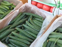 Продавачи от Пловдив за шоковите цени на пазара: Това е пазарна икономика, никой не може да помогне
