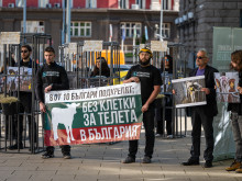 Доброволци в клетки пред НС настояха за забрана на жестока практика