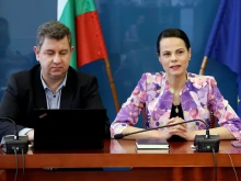 Катя Ивкова към РЗИ: Единствената опция за извънредна обработка срещу комари е чрез здравните инспекции
