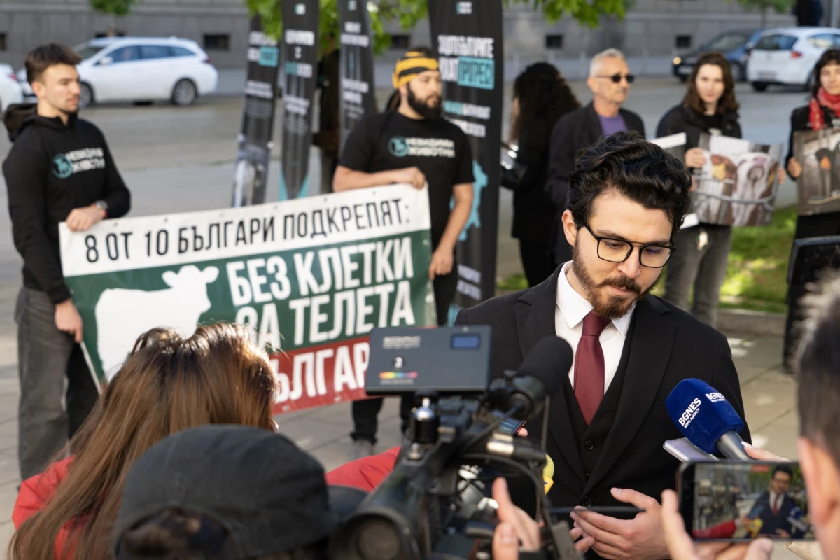 Стефан Димитров, "Невидими животни": Решението за клетките за телета веч...