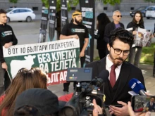 Стефан Димитров, "Невидими животни": Решението за клетките за телета вече е въпрос на политическа воля