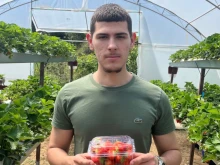 19-годишен производител: Цените са високи, защото прекупвачите ги вдигат с грандиозна надценка