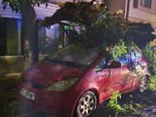 Дърво се срути върху автомобил, а второ падна върху кооперация в Пловдив