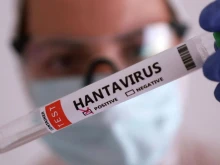Испания потвърди нов случай на хантавирус от кораба ''Hondius'', пациентът е в изолация