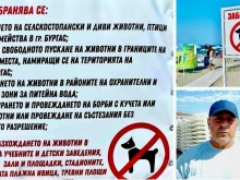 От 1 юни влиза в сила голяма забрана по плажовете на Черноморието
