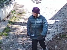 Без успех продължава издирването на възрастната жена, изчезнала в района на Панчарево