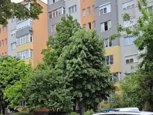 Съседка за трагедията в Благоевград: Помислих, че мяука котка, а после разбрах, че е било момичето