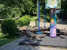 ����� ������ �������� ���� �� ������ ��������
