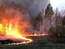 Кметът на Благоевград забрани паленето на стърнища и сухи треви заради риска от пожари
