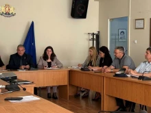 Предприемат спешни мерки в Благоевградско заради масово нашествие на марокански скакалци