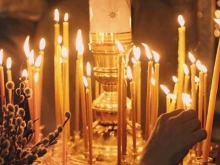 Черешова задушница е!
