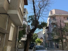 Граждани: Голямо изсъхнало дърво в центъра на Пловдив застрашава пешеходци и коли