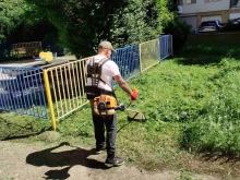 Продължава косенето на тревните площи в Русе