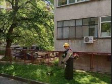 Започва косене на зелени площи от 1 до 6 юни в Стара Загора