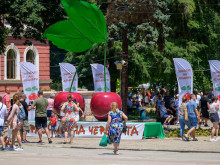 Уникално изложение превръща черешите в изкуство в Кюстендил