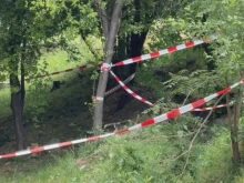 Нови разкрития по фаталния случай в Благоевград: Свидетелите проговориха