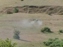 Заради марокански скакалци в Сандански и Петрич е обявено частично бедствено положение