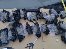 Оставиха в ареста дилър, заловен с над 300 грама марихуана, кокаин и амфетамини