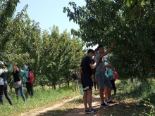Жандармерия и полиция блокират Кюстендилско заради черешите