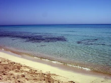 Внимавайте! Токсична риба в Средиземно море